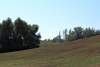 Už vidíme Spešovskou rozhlednu