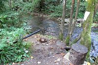 Pramen u Staré Františčiny hutě