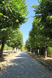 Hroznová ulice - vila Stiassni - alej vede od vstupu do zahrady až na nádvoří u vily