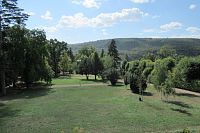 Pohled z okna na zahradu