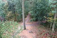 Jsou vidět jen cestičky pod rozhlednou