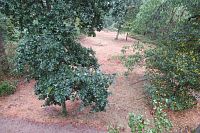 Tímto směrem by měla být ta vysoká rozhledna