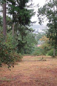 Z cesty je trochu něco vidět - dnes však bohužel skoro nic