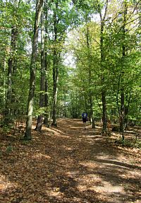 Jdeme k rozhledně Chvalovka