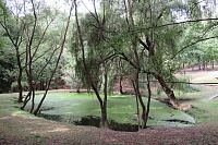 Rozcestí U Jezírka