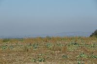 Výhledy cestou k rozhledně Kurovický lom