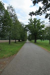 Alej k hradu Veveří