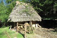 Pravěká osada Křivolík