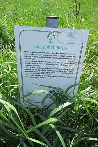 Vstiš - bylinná zahrádka