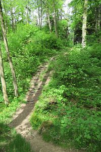 Nejdřív musíme do hradního příkopu a pak nahoru ke hradu