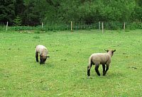 Foto z ranní procházky