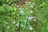 Foto z ranní procházky