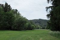 Foto z ranní procházky