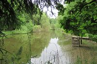 Foto z ranní procházky