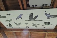 Stejně tak jsou zajímavé siluety ptáků