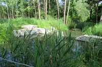 Jez na potoce u visuté lávky