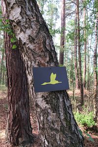 Podle této siluety jdeme ke 2. pozorovatelně