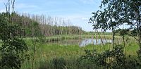 Vidíme rybník Janovského mokřadu