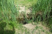 Tento vodní tok se musí přeskočit