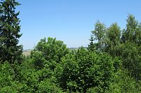 Tady to pomalu zarůstá