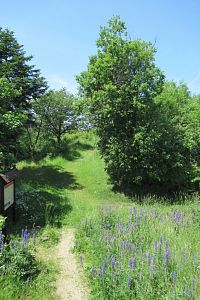 Cesta na vrchol Homole