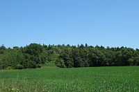 Vrch Homole ze zpáteční cesty