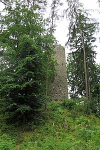 Zřícenina hradu Volfštejn