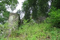 Zřícenina hradu Volfštejn