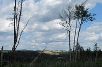 Západní část republiky - 2. den: okruh 8 (11) km po NS Krajinou bitvy u Třebele - Olbramov (keltská májka) - Dolní Víska - Kořeňský potok a malá část NS Údolím Kosího potoka; Třebel - zřícenina hradu
