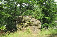 Jdeme k lesní kapli