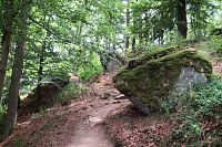 Jdeme k lesní kapli