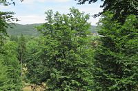 Dnes už toho z altánku moc vidět není