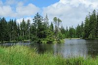 Ostrůvek na Dolním Bahňáku