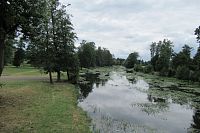 Ohře zarůstá zelení