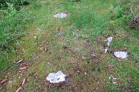 V okolí jsou i menší křemencové kameny - sluňáci