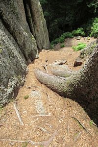 Cestička ve skalním městě na Šišáku