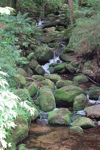 Když je hodně vody, je tady na přítoku Stříbrného potoka vodopád
