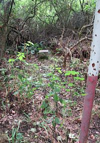 Tady je dokonce vrchol Vladaře