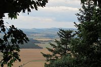 Mezi stromy vidíme docela daleko