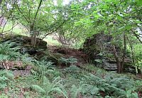 Jdeme na vrchol Kozelka