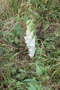 Jdeme na Doubravický vrch