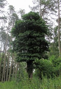 Jdeme na Doubravický vrch