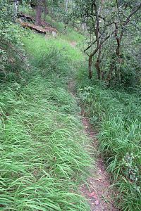 Pokračujeme po červené na rozcestí Kamenný slon