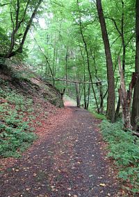 Cesta na hrad Jenčov