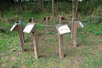 Přiřaď  obojživelníka, jeho larvu a vajíčko.