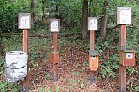 Který pták má jakou budku?