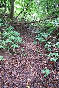 Zpočátku cesta v rokli vypadá dobře