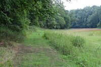 Zajíček sedí ve své jamce....