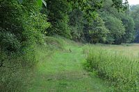 Ještě nám zapanáčkoval