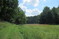 Ty louky tu jsou pěkné